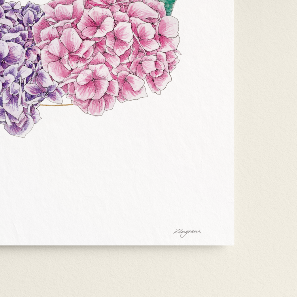 "Hydrangea in Gold" Print