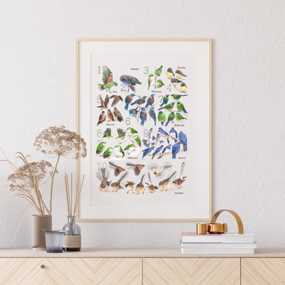 123 New Zealand Birds Print