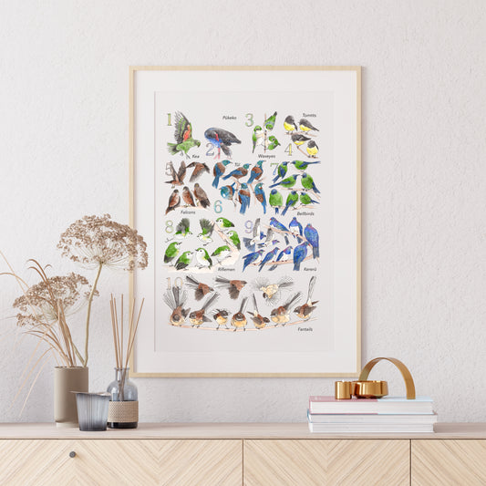 123 New Zealand Birds Print