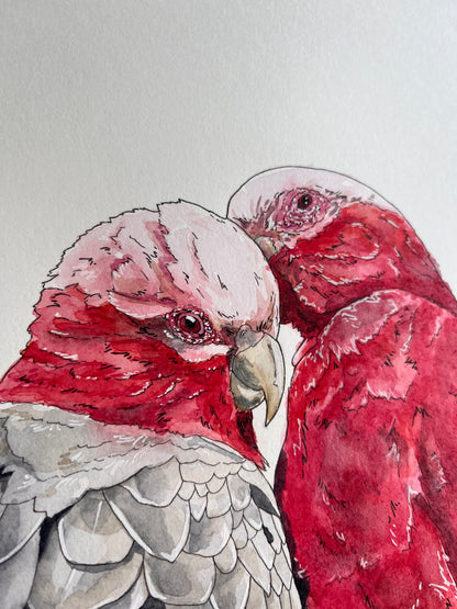 ONO Price - Lovers Lyric Original