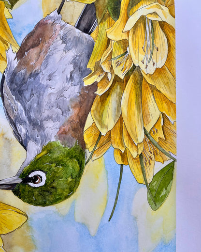 ONO Price - Tauhou in the Kōwhai Original