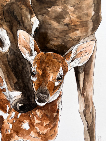 ONO Price - Guardian Original