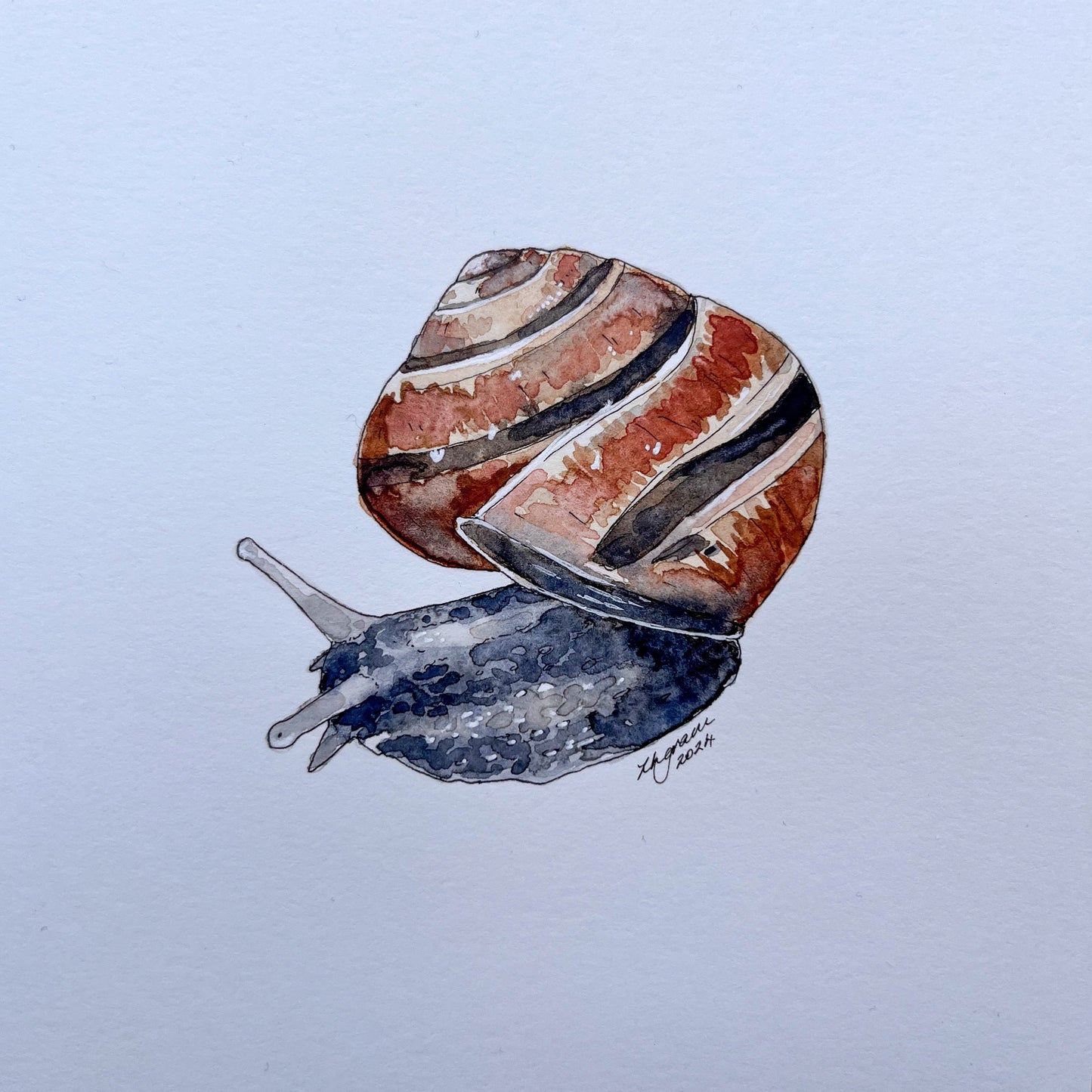 Mini one-off "Snail" Original