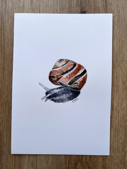 Mini one-off "Snail" Original