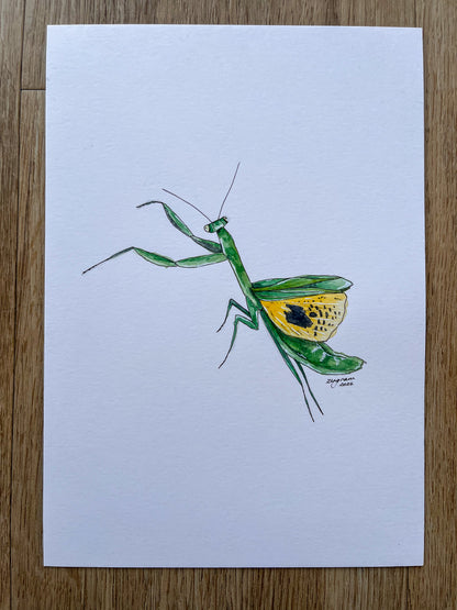 Mini one-off "Preying mantis" Original