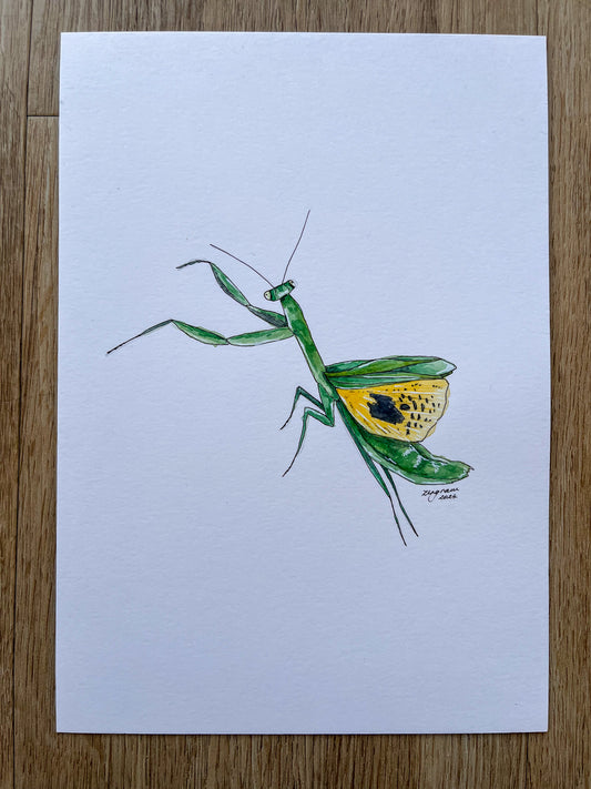 Mini one-off "Preying mantis" Original