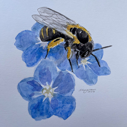 Mini one-off "Bee 1" Original