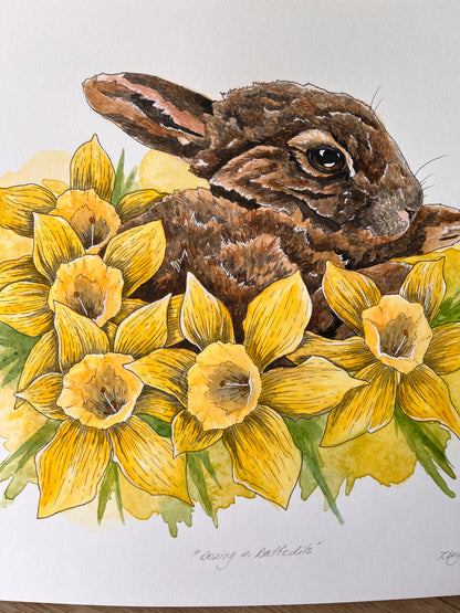 ONO Price - Dozing in Daffodils Original