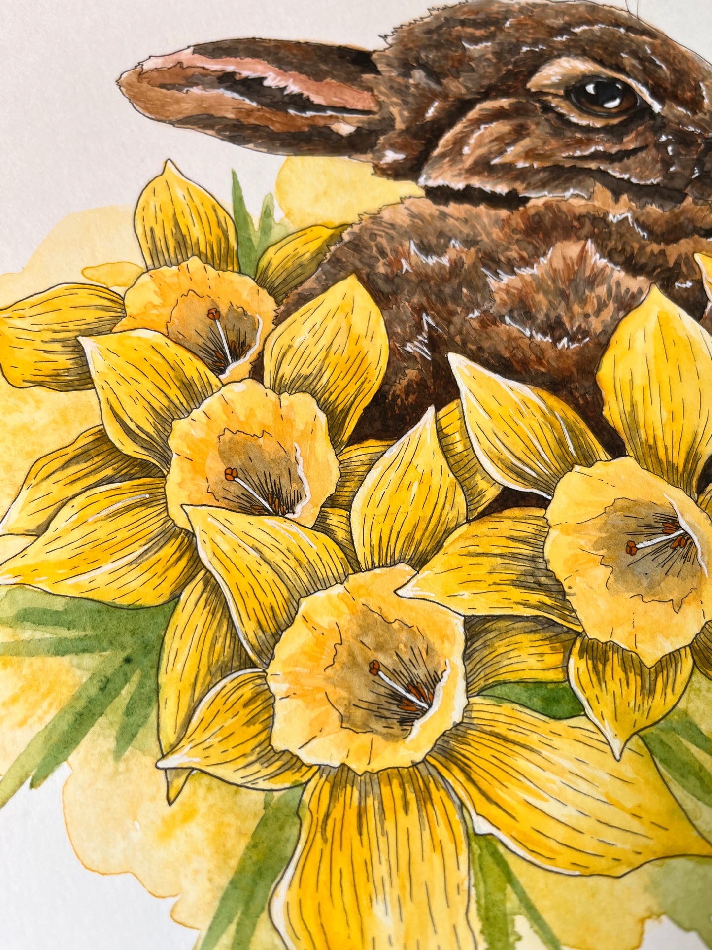 ONO Price - Dozing in Daffodils Original