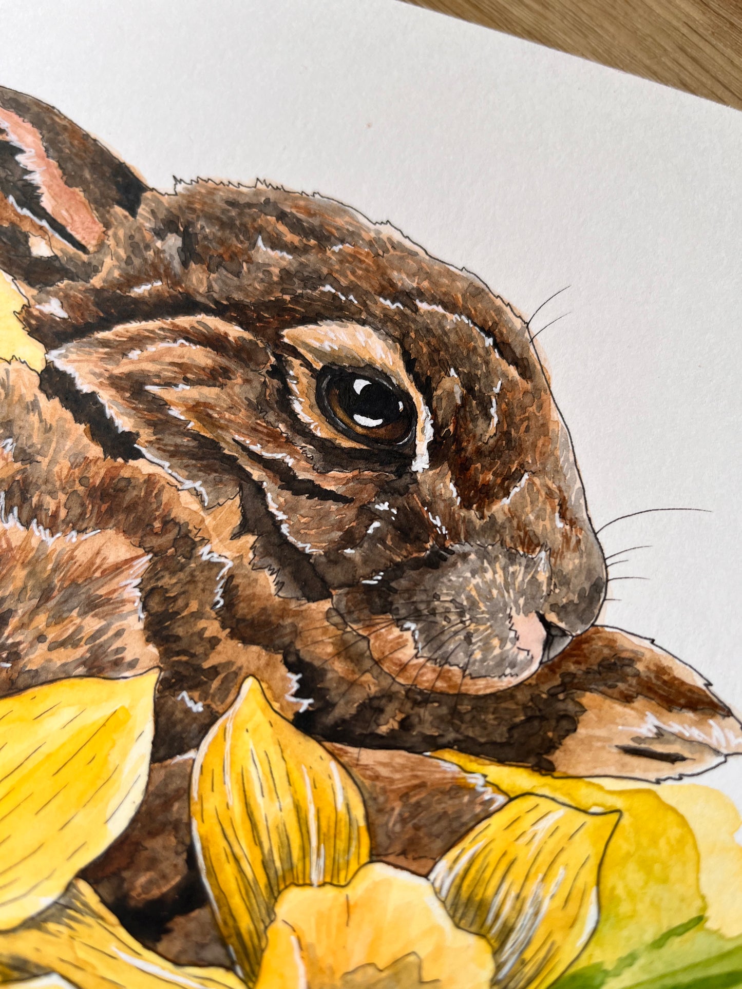 ONO Price - Dozing in Daffodils Original