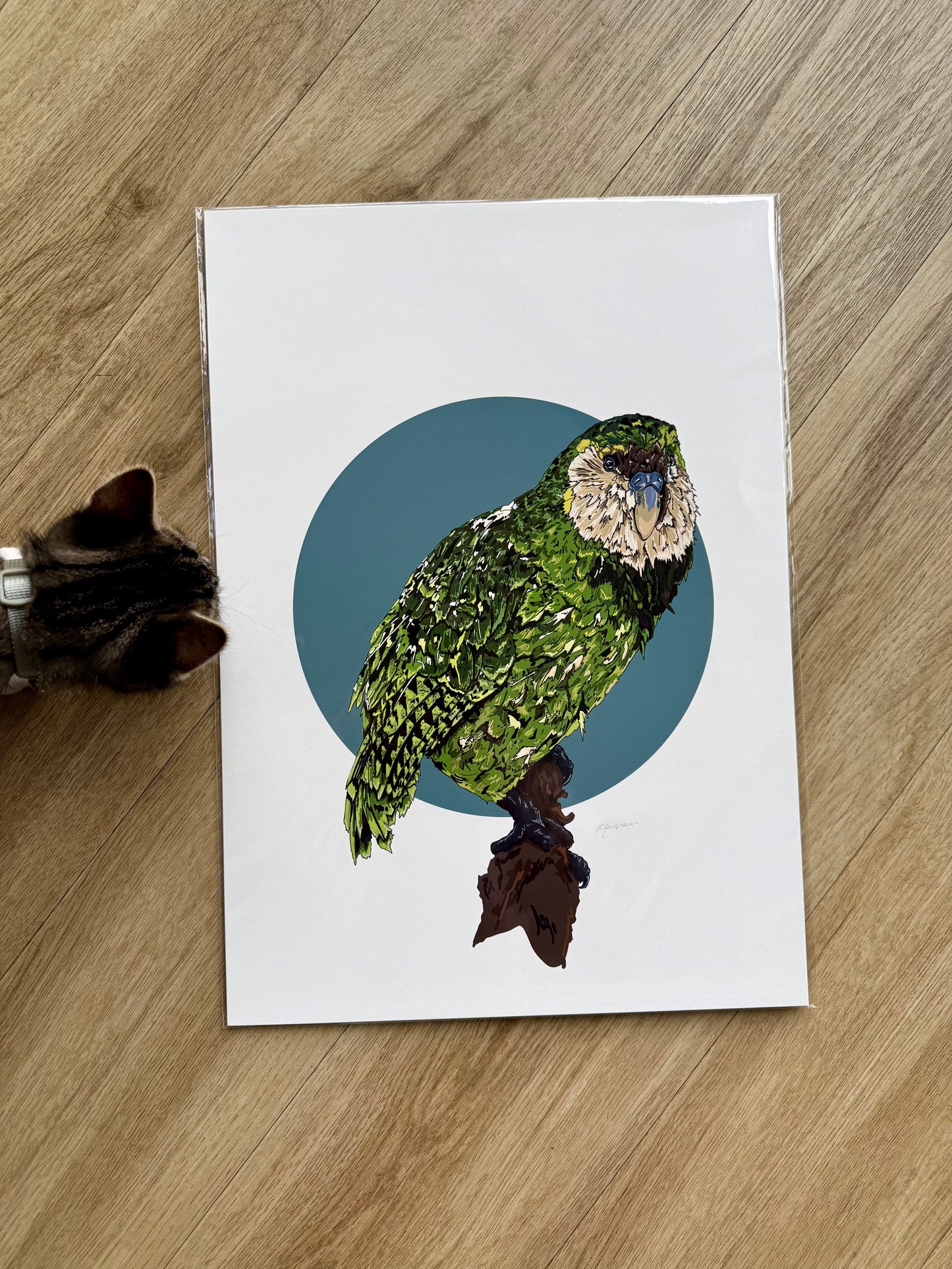 Kakapo Print A3
