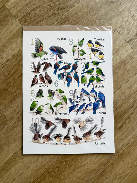 Native Birds 123 Print A3