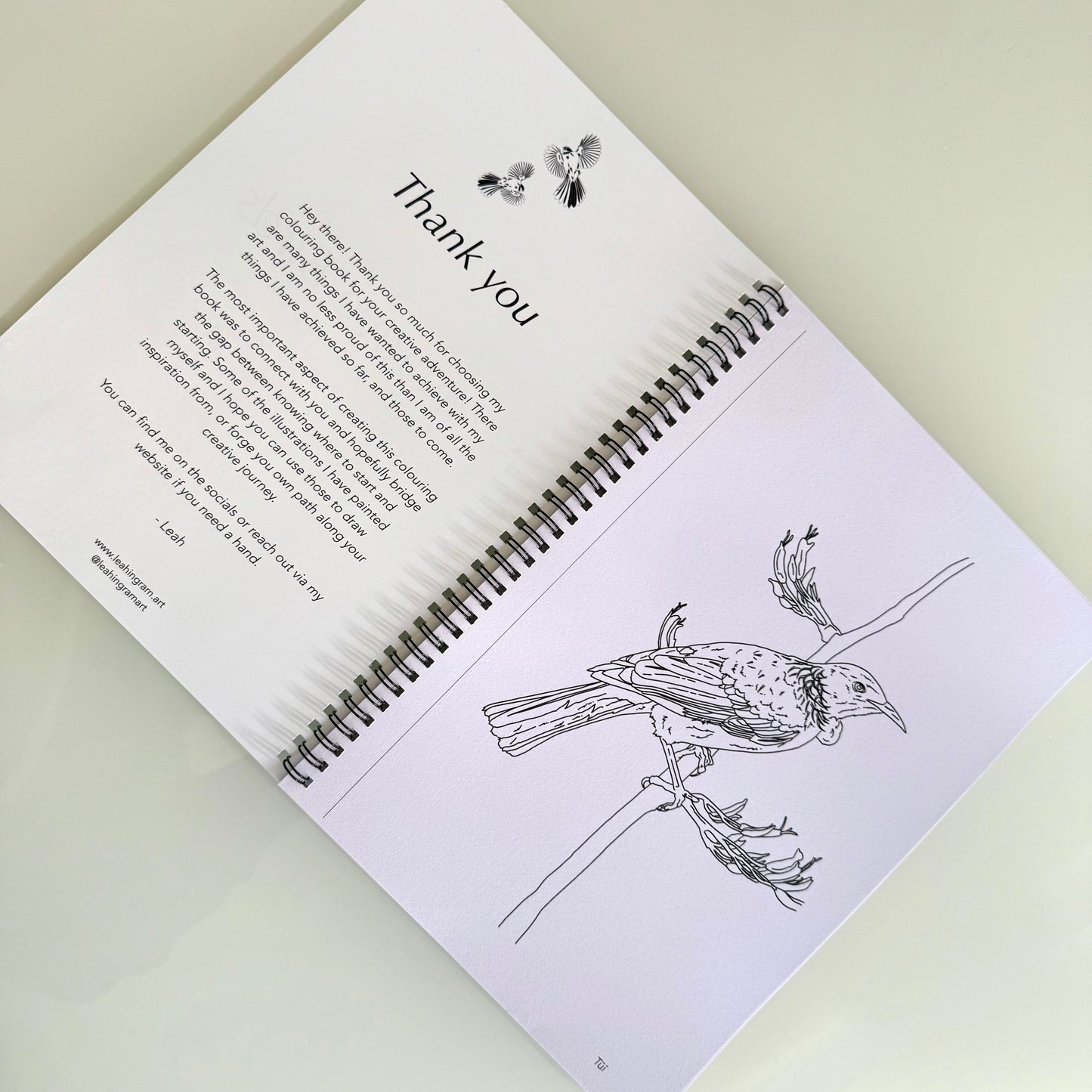 New Zealand Birds Colouring Book