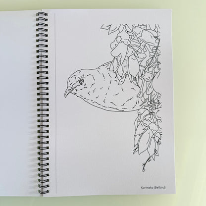 New Zealand Birds Colouring Book
