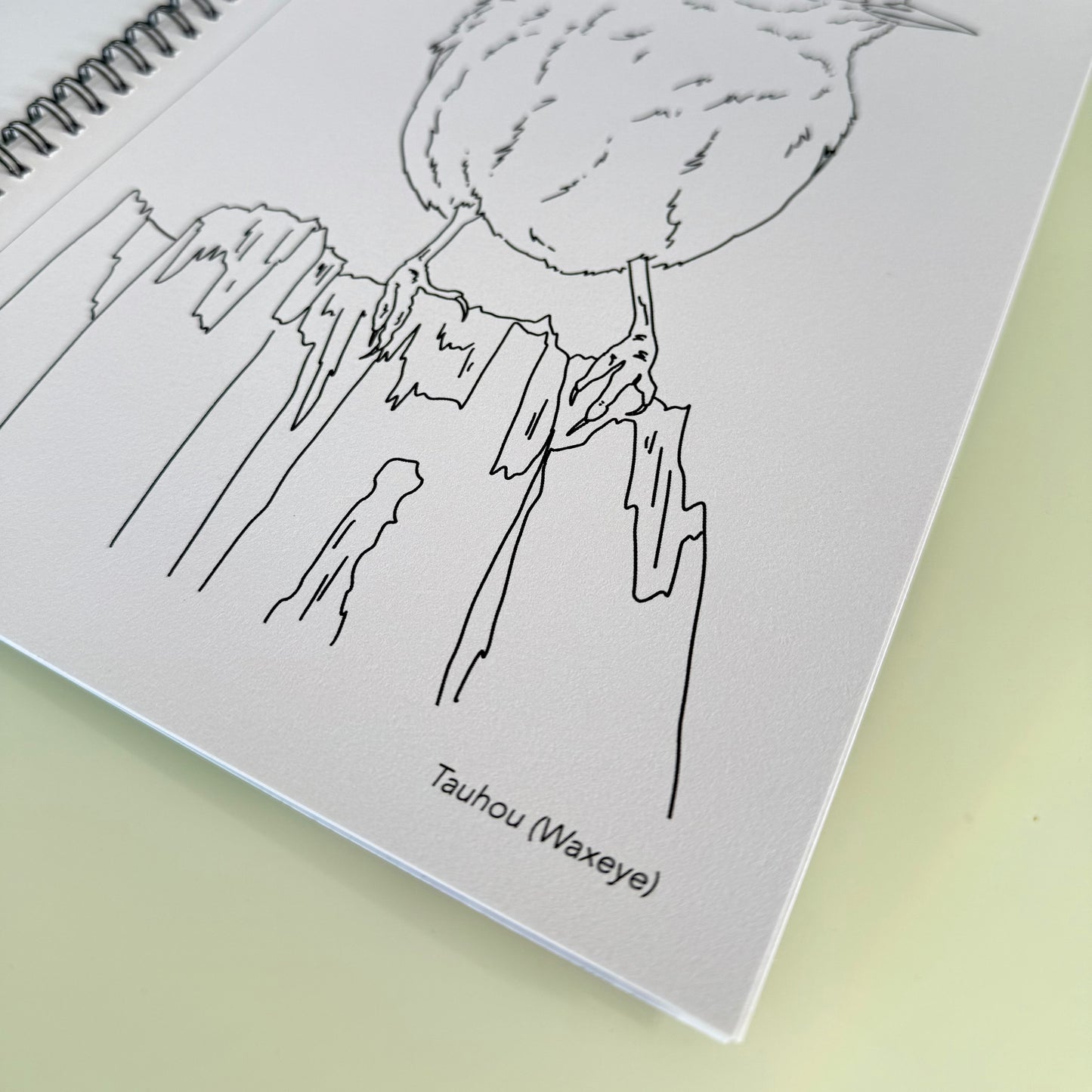 New Zealand Birds Colouring Book
