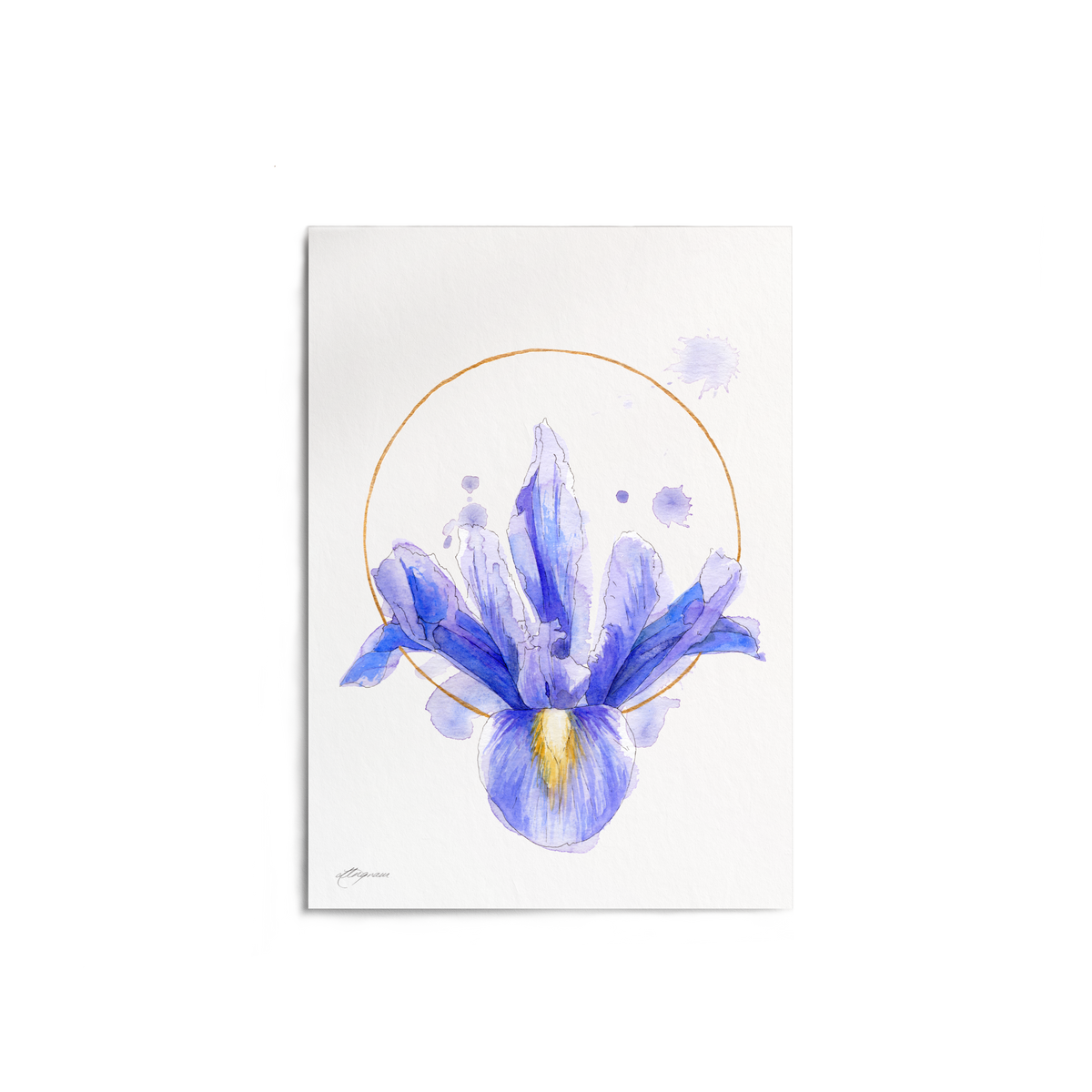 "Iris Circle" Print