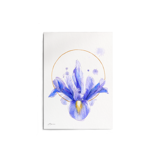 "Iris Circle" Print