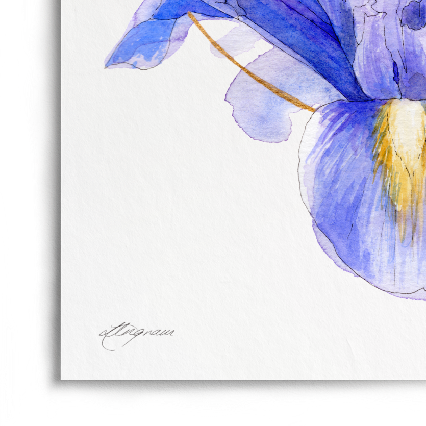 A vertical art print featuring a watercolor painting of a blue and purple iris flower with a thin gold circle behind it, centered on a white background.