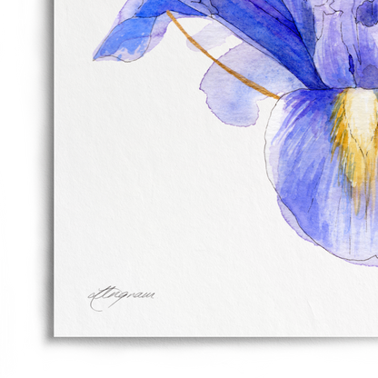 A vertical art print featuring a watercolor painting of a blue and purple iris flower with a thin gold circle behind it, centered on a white background.