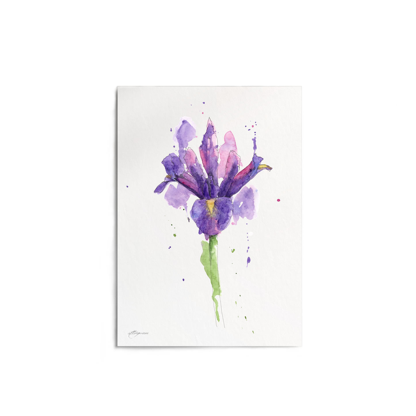 "Iris" Print