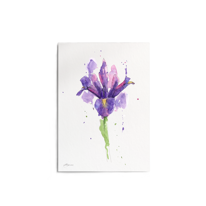 "Iris" Print