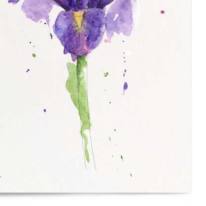 Watercolor painting of a purple flower on a white background