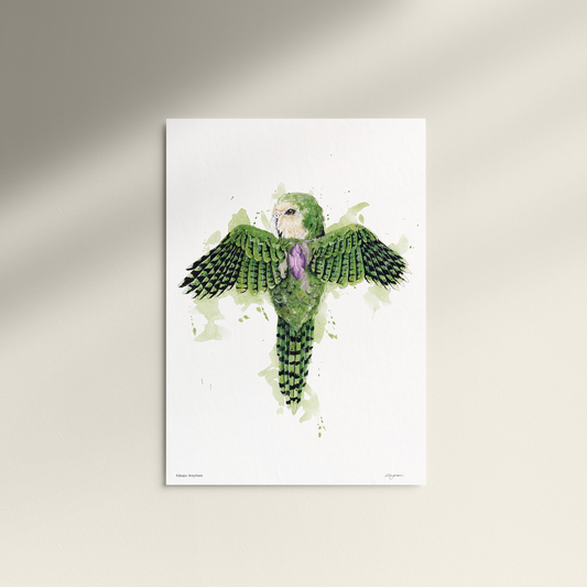 "Kakapo Amythest" Print