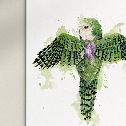 "Kakapo Amythest" Print