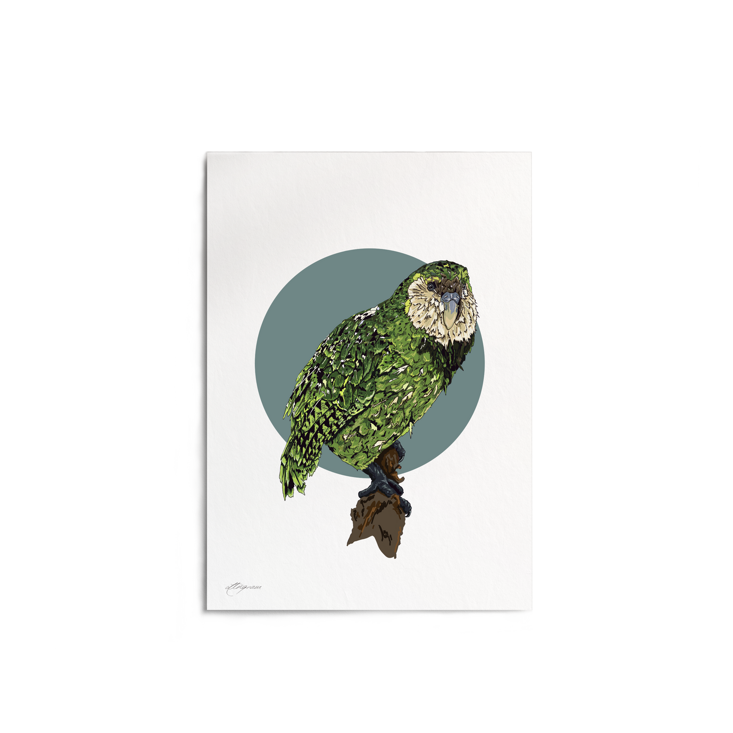 "Kākāpō" Print