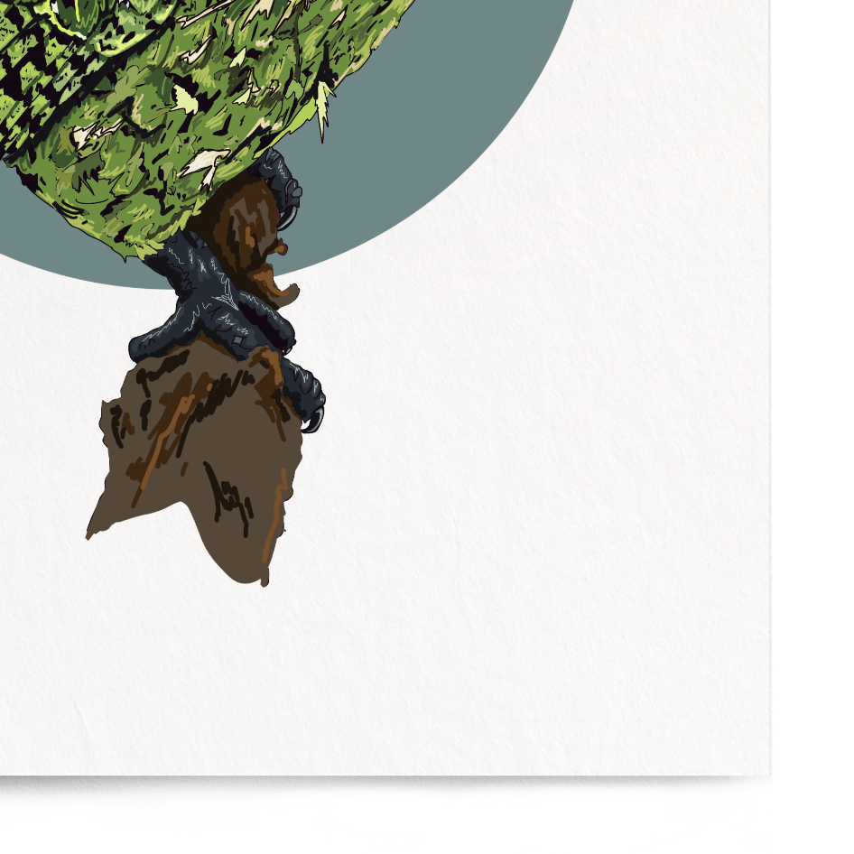 Framed artwork of a green parrot on a white background