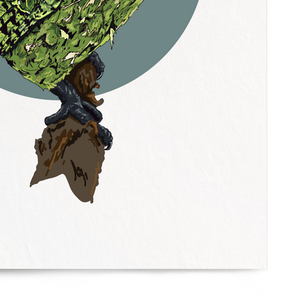 Framed artwork of a green parrot on a white background