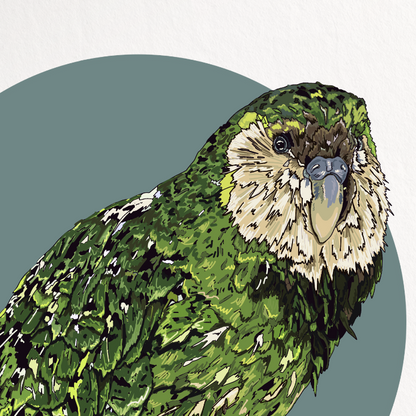 Framed artwork of a green parrot on a white background