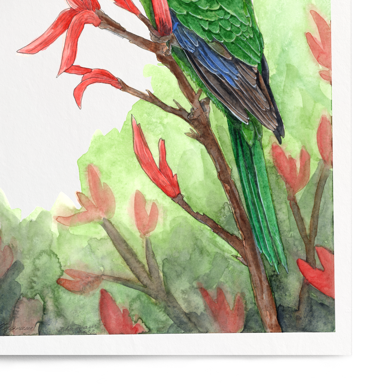 Framed artwork of a green parrot on red leaves with a white border