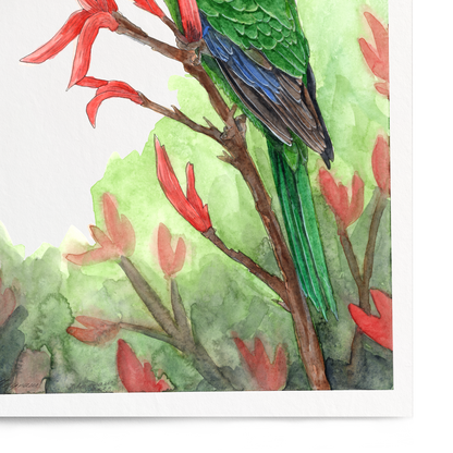 Framed artwork of a green parrot on red leaves with a white border