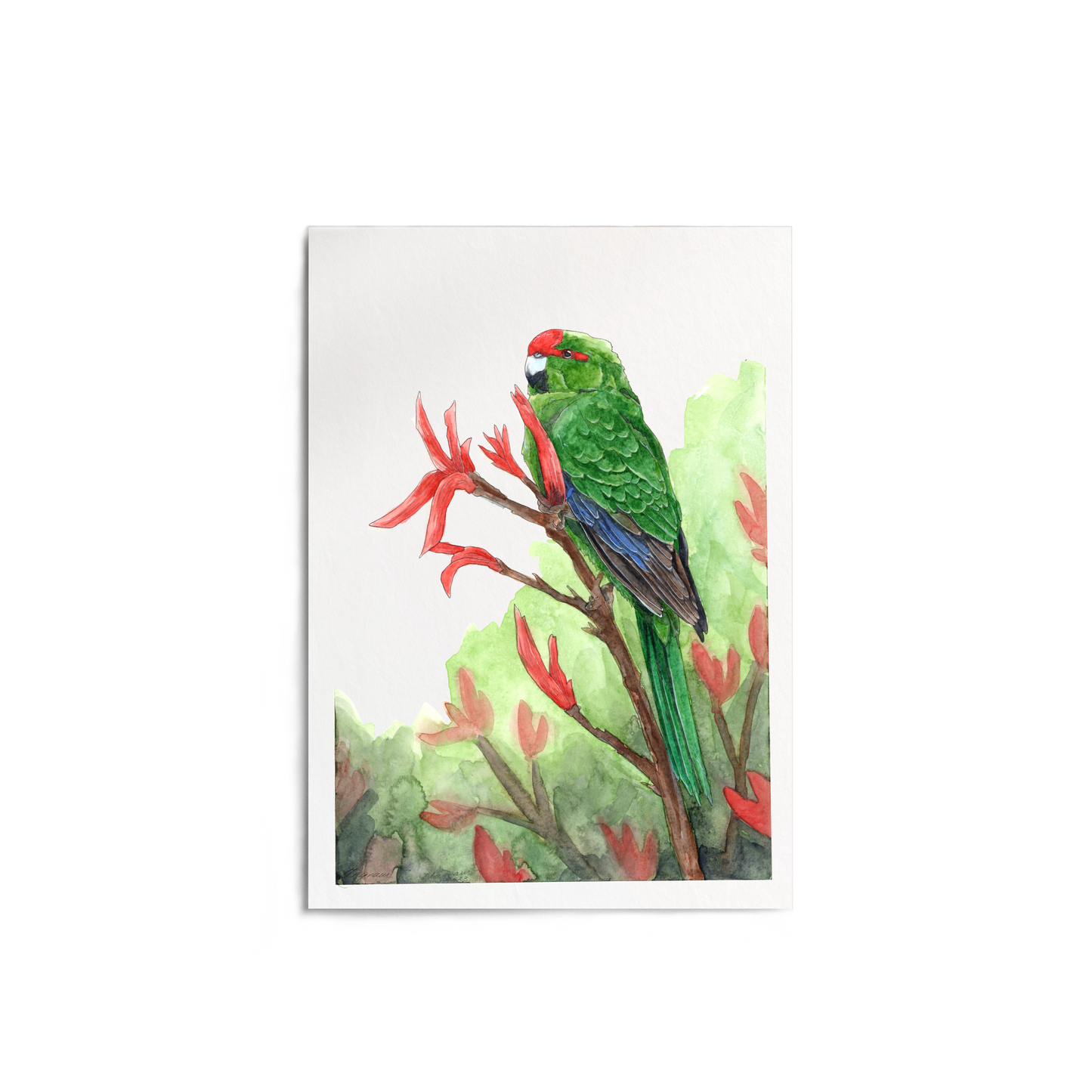 "Kākāriki on Harakeke" Print