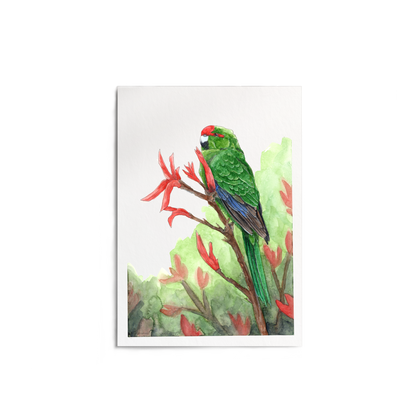 "Kākāriki on Harakeke" Print