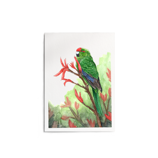 "Kākāriki on Harakeke" Print