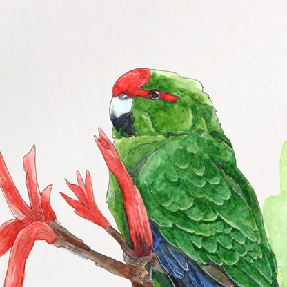 Framed artwork of a green parrot on red leaves with a white border