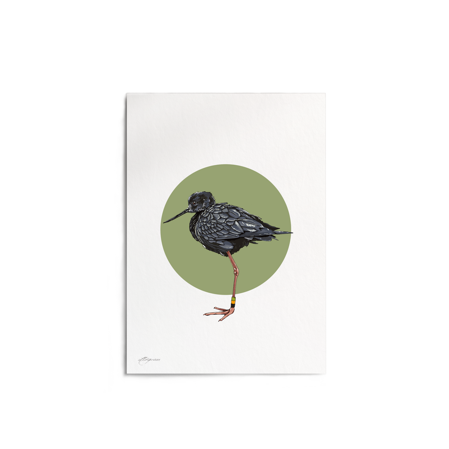 "Kakī" Print