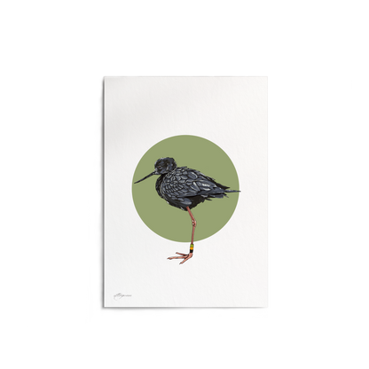 "Kakī" Print