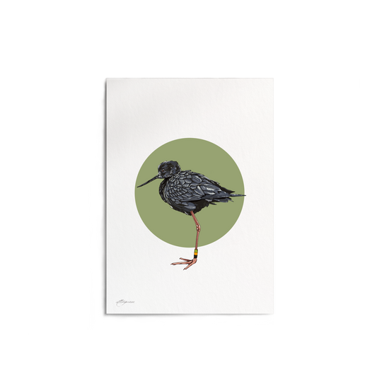 "Kakī" Print