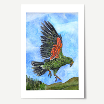 Kea of the Alps Print