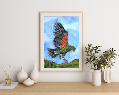Kea of the Alps Print