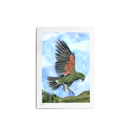 "Kea of the Alps" Print
