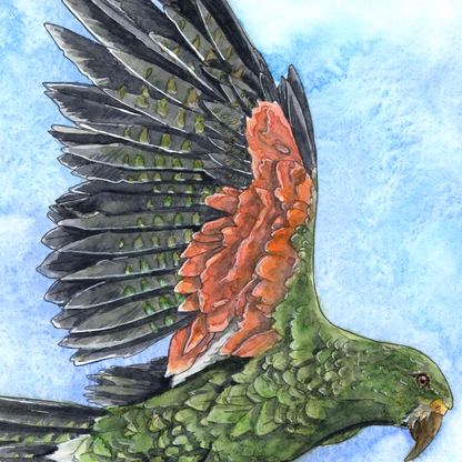 Framed artwork of a parrot with open wings against a blue sky and green landscape.