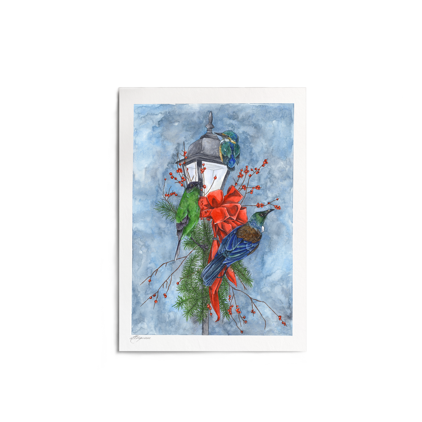 "Kiwi Christmas" Print