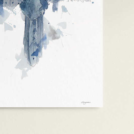 "Kokako Diamond" Print