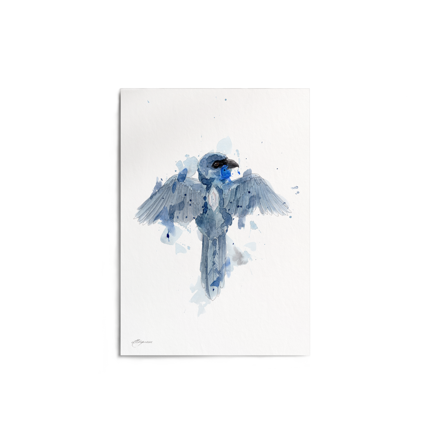 "Kōkako Diamond" Print