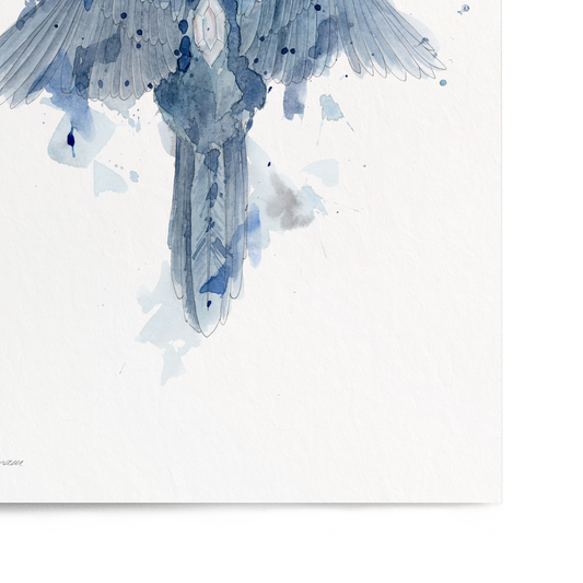 Artistic depiction of a bird with blue and gray colors on a white background
