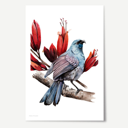 Kōkako & Harakeke Print